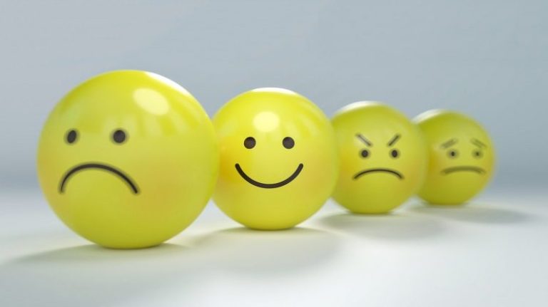 7 raisons pour utiliser la roue des émotions.